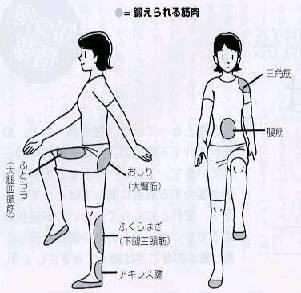 簡単ダイエット方法 足踏みダイエット 自宅で脂肪燃焼方法 効果的 簡単なダイエット方法